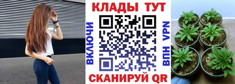 Магазины продажи наркотиков Новоаннинский Галлюциногенные грибы КОКАИН СОЛЬ МЕФ Гашиш