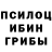 Галлюциногенные грибы Cubensis Dima Triboi