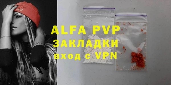 индика Алексин