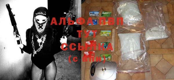 индика Алексин
