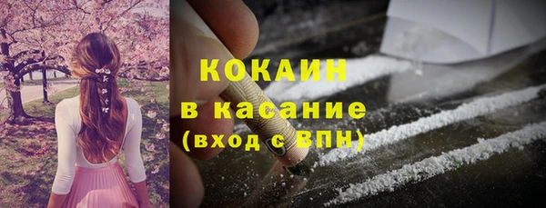 индика Алексин