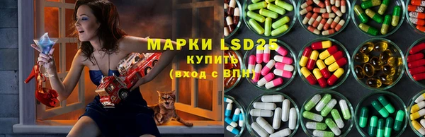 индика Алексин