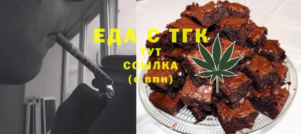 индика Алексин