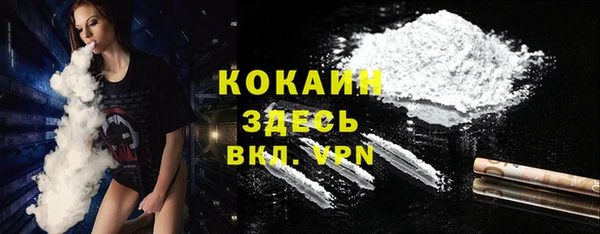 индика Алексин