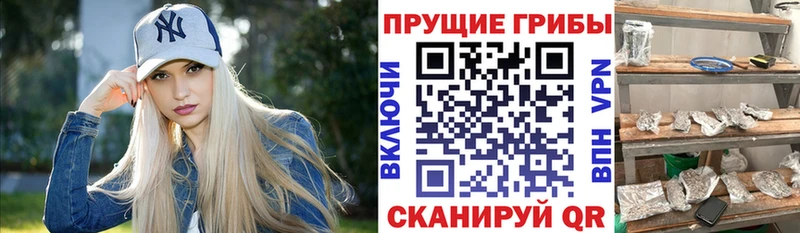 закладки  Новоаннинский  Галлюциногенные грибы мицелий 