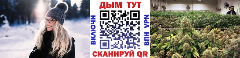 mega зеркало  Новоаннинский  Бошки марихуана сатива  купить закладку 
